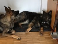 Shani und Xelie